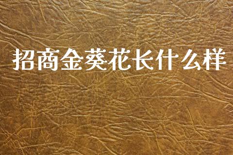 招商金葵花长什么样_https://m.qmgjg.com_金融市场_第1张