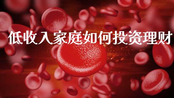 低收入家庭如何投资理财_https://m.qmgjg.com_投资银行_第1张