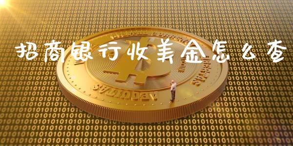招商银行收美金怎么查_https://m.qmgjg.com_货币基金_第1张