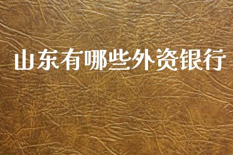 山东有哪些外资银行_https://m.qmgjg.com_投资银行_第1张
