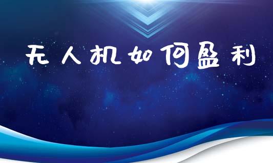 无人机如何盈利_https://m.qmgjg.com_货币基金_第1张