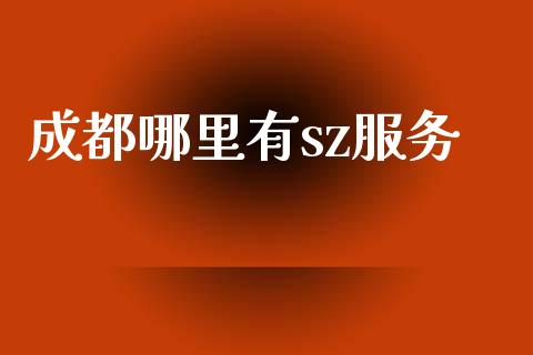 成都哪里有sz服务_https://m.qmgjg.com_资金管理_第1张