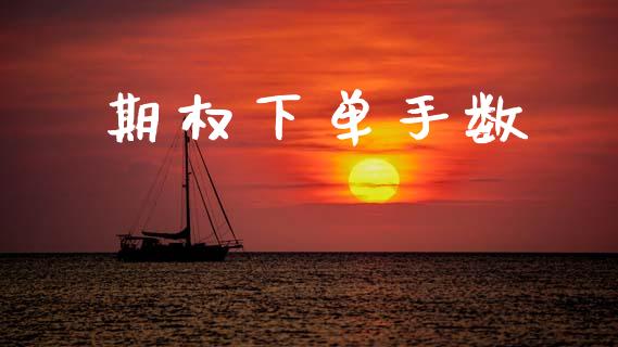 期权下单手数_https://m.qmgjg.com_投资银行_第1张