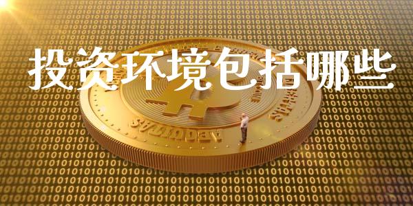 投资环境包括哪些_https://m.qmgjg.com_投资银行_第1张