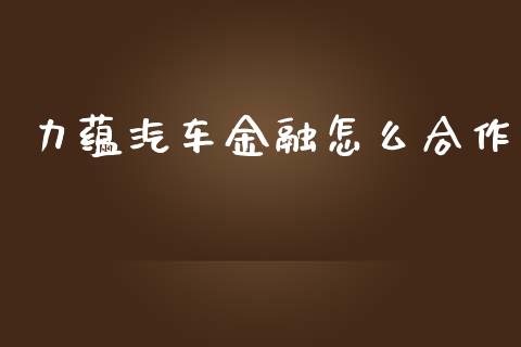 力蕴汽车金融怎么合作_https://m.qmgjg.com_货币基金_第1张