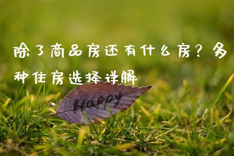 除了商品房还有什么房？多种住房选择详解_https://m.qmgjg.com_资金管理_第1张
