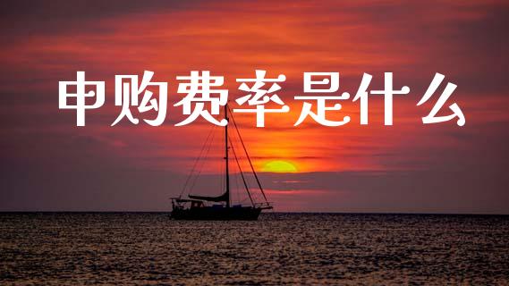 申购费率是什么_https://m.qmgjg.com_金融市场_第1张