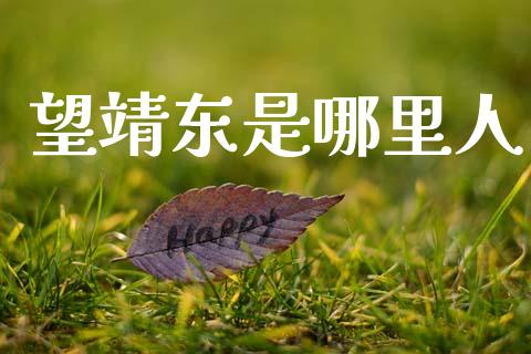 望靖东是哪里人_https://m.qmgjg.com_投资银行_第1张