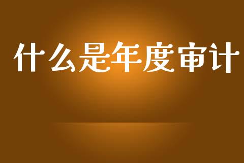 什么是年度审计_投资银行_第1张_资金管理_投资银行_金融市场_货币基金 什么是年度审计_https://m.qmgjg.com_投资银行_第1张