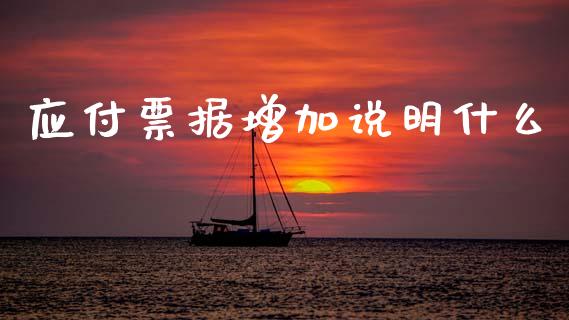应付票据增加说明什么_https://m.qmgjg.com_金融市场_第1张