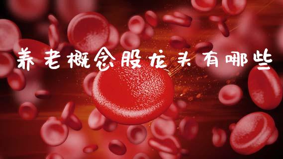 养老概念股龙头有哪些_https://m.qmgjg.com_投资银行_第1张