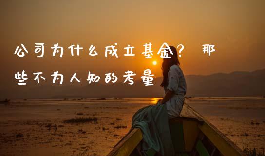 公司为什么成立基金？ 那些不为人知的考量_https://m.qmgjg.com_资金管理_第1张