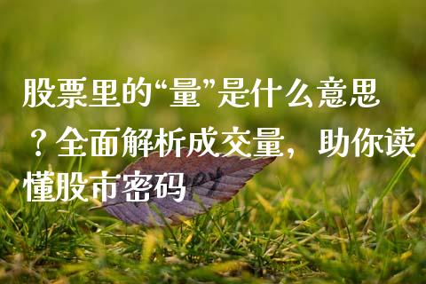 股票里的“量”是什么意思？全面解析成交量，助你读懂股市密码_https://m.qmgjg.com_货币基金_第1张