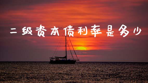 二级资本债利率是多少_https://m.qmgjg.com_资金管理_第1张