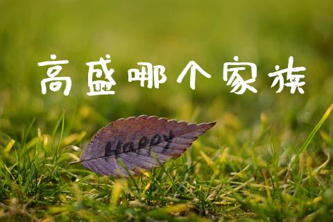 高盛哪个家族_https://m.qmgjg.com_投资银行_第1张