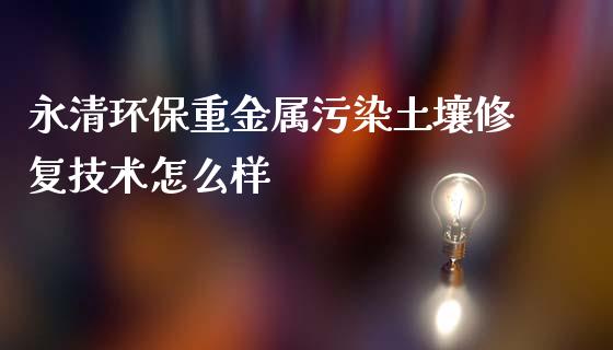永清环保重金属污染土壤修复技术怎么样_https://m.qmgjg.com_投资银行_第1张