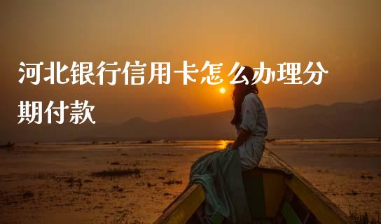 河北银行信用卡怎么办理分期付款_https://m.qmgjg.com_货币基金_第1张