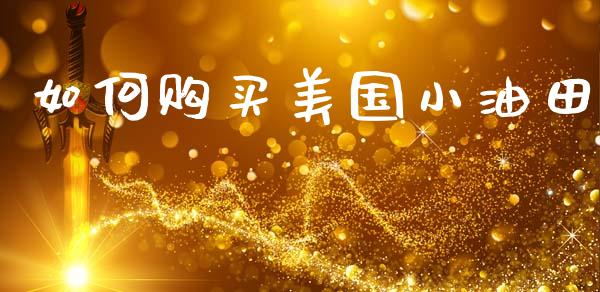 如何购买美国小油田_https://m.qmgjg.com_投资银行_第1张