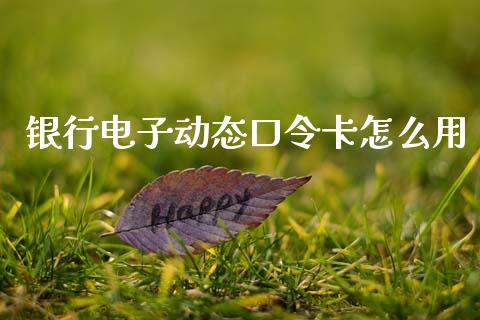 银行电子动态口令卡怎么用_https://m.qmgjg.com_资金管理_第1张
