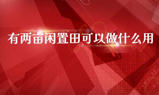 有两亩闲置田可以做什么用_https://m.qmgjg.com_投资银行_第1张