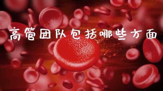 高管团队包括哪些方面_https://m.qmgjg.com_金融市场_第1张