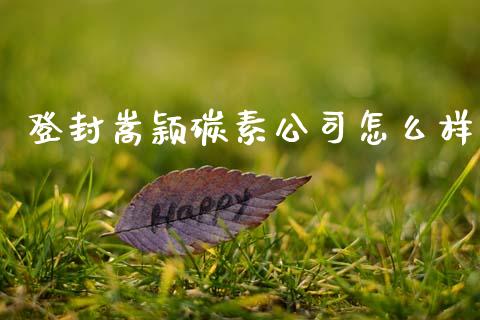 登封嵩颖碳素公司怎么样_https://m.qmgjg.com_资金管理_第1张