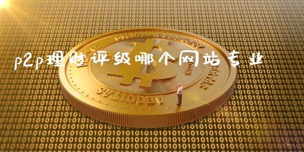 p2p理财评级哪个网站专业_https://m.qmgjg.com_资金管理_第1张