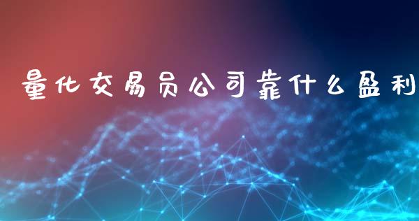 量化交易员公司靠什么盈利_https://m.qmgjg.com_资金管理_第1张