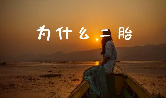 为什么二胎_https://m.qmgjg.com_金融市场_第1张