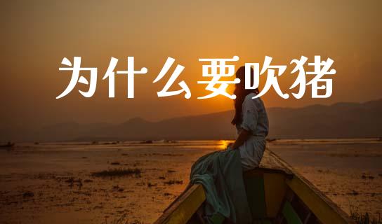 为什么要吹猪_https://m.qmgjg.com_货币基金_第1张