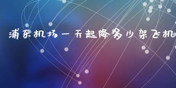 浦东机场一天起降多少架飞机_https://m.qmgjg.com_投资银行_第1张