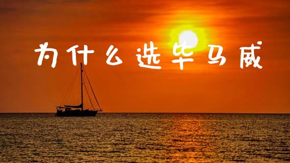 为什么选毕马威_https://m.qmgjg.com_金融市场_第1张