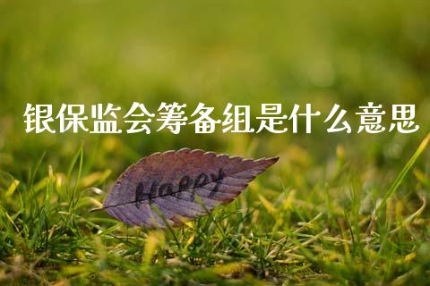 银保监会筹备组是什么意思_https://m.qmgjg.com_资金管理_第1张