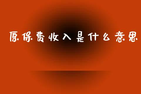 原保费收入是什么意思_https://m.qmgjg.com_资金管理_第1张
