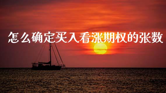 怎么确定买入看涨期权的张数_https://m.qmgjg.com_资金管理_第1张