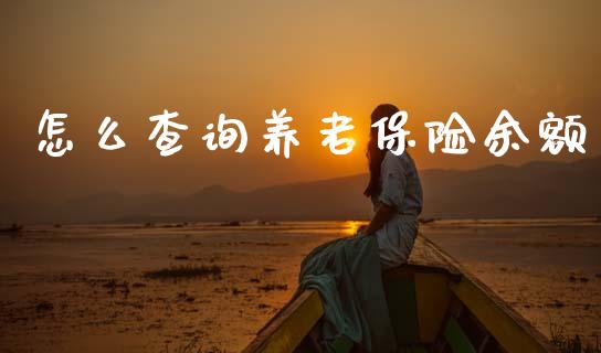 怎么查询养老保险余额_https://m.qmgjg.com_金融市场_第1张