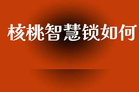 核桃智慧锁如何_https://m.qmgjg.com_金融市场_第1张
