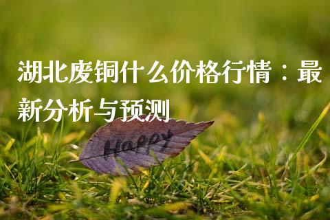 湖北废铜什么价格行情：最新分析与预测_https://m.qmgjg.com_资金管理_第1张