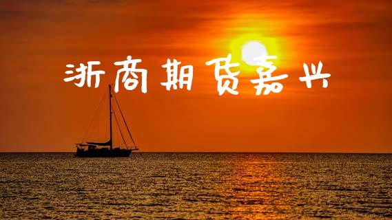 浙商期货嘉兴_https://m.qmgjg.com_投资银行_第1张