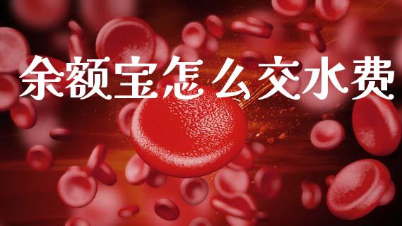 余额宝怎么交水费_https://m.qmgjg.com_资金管理_第1张