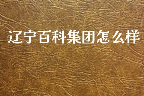 辽宁百科集团怎么样_https://m.qmgjg.com_资金管理_第1张