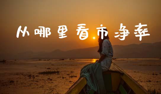 从哪里看市净率_https://m.qmgjg.com_资金管理_第1张