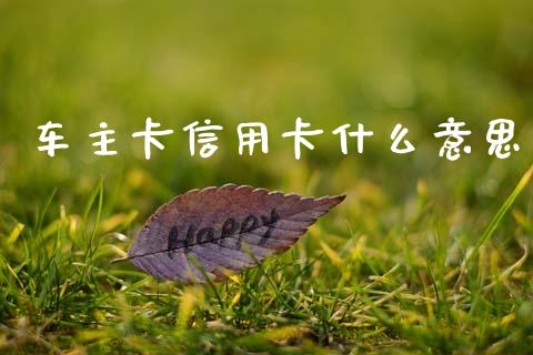 车主卡信用卡什么意思_https://m.qmgjg.com_金融市场_第1张