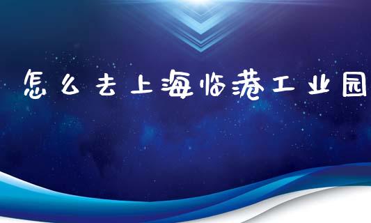 怎么去上海临港工业园_https://m.qmgjg.com_货币基金_第1张