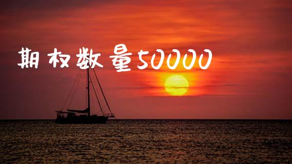 期权数量50000_https://m.qmgjg.com_金融市场_第1张
