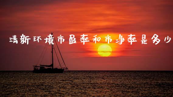 清新环境市盈率和市净率是多少_https://m.qmgjg.com_货币基金_第1张