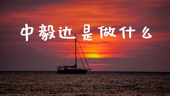 中毅达是做什么_https://m.qmgjg.com_货币基金_第1张