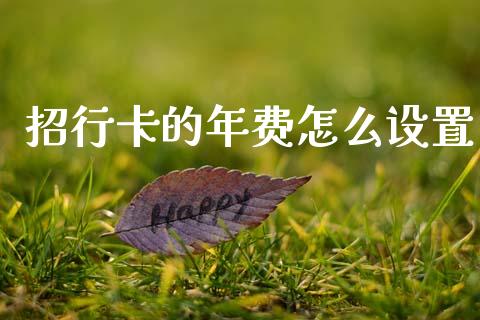 招行卡的年费怎么设置_https://m.qmgjg.com_货币基金_第1张