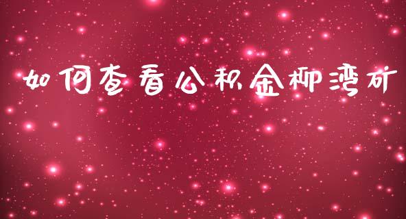 如何查看公积金柳湾矿_https://m.qmgjg.com_资金管理_第1张