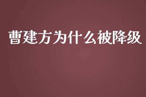 曹建方为什么被降级_https://m.qmgjg.com_资金管理_第1张